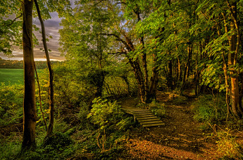 Картинка природа дороги тракт