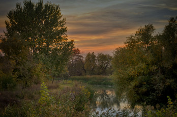 Картинка природа реки озера лес река