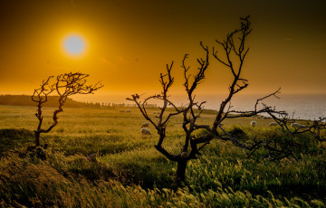 Картинка природа восходы закаты рассвет