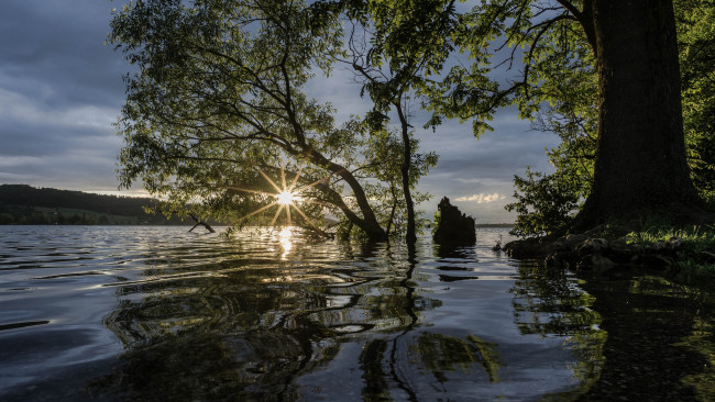 Обои картинки фото природа, реки, озера, лес, река