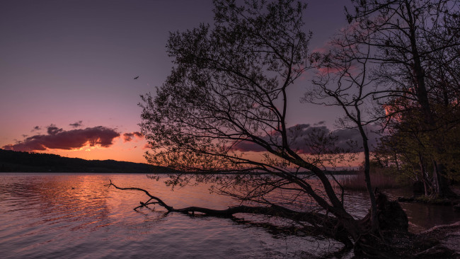 Обои картинки фото природа, восходы, закаты, рассвет