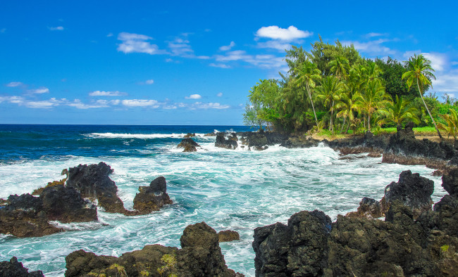 Обои картинки фото природа, тропики, океан, берег