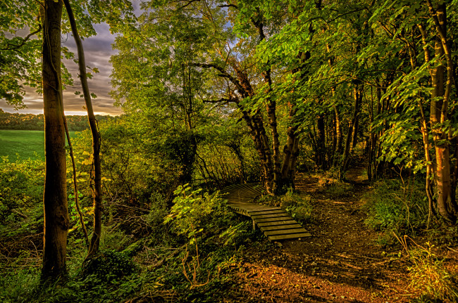 Обои картинки фото природа, дороги, тракт