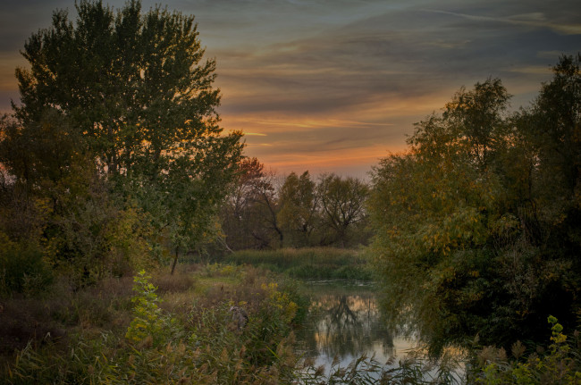 Обои картинки фото природа, реки, озера, лес, река