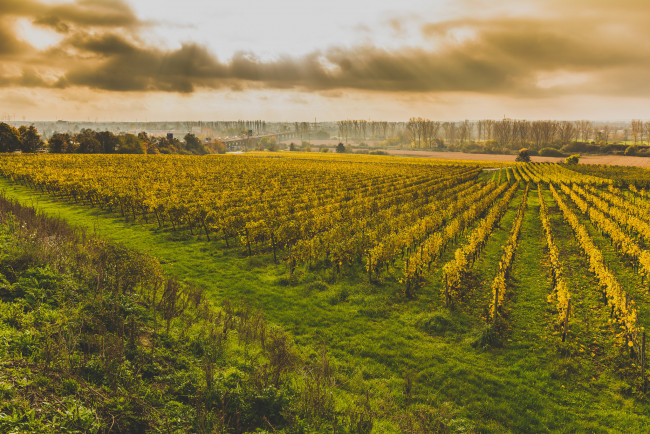 Обои картинки фото природа, дороги, тракт