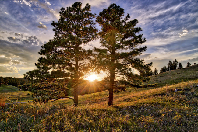 Обои картинки фото природа, восходы, закаты, рассвет