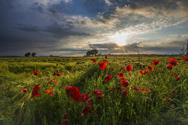 Обои картинки фото природа, восходы, закаты, рассвет