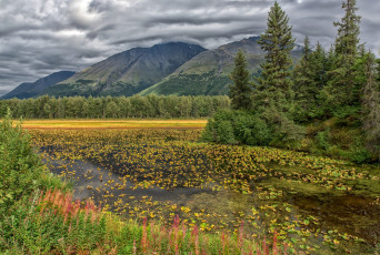 Картинка природа горы простор