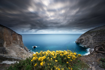 Картинка природа побережье простор