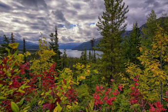 Картинка природа пейзажи простор