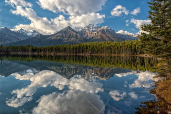 Картинка природа реки озера простор