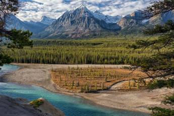 Картинка природа реки озера простор