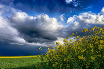 Картинка природа пейзажи простор