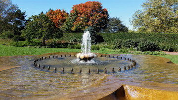 Картинка города -+фонтаны деревья