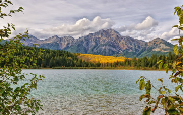 Картинка природа реки озера простор