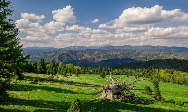 Обои картинки фото природа, пейзажи, простор