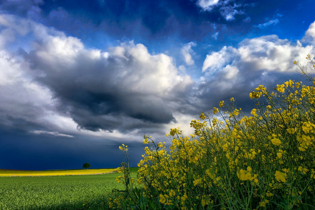 Обои картинки фото природа, пейзажи, простор