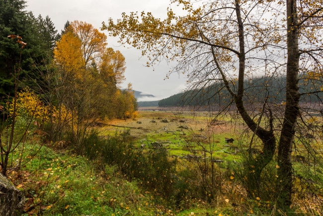 Обои картинки фото природа, пейзажи, простор