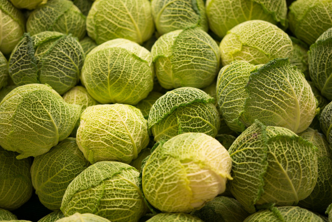 Обои картинки фото еда, капуста и её разновидности, капуста, савойская, кочаны
