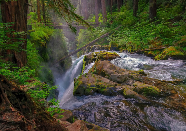 Обои картинки фото природа, водопады, лес, водопад, река