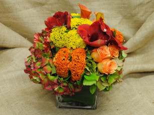 Картинка цветы букеты +композиции каллы розы