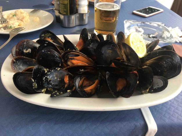 Обои картинки фото еда, рыба,  морепродукты,  суши,  роллы, мидии