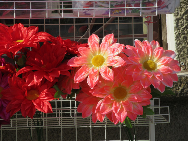 Обои картинки фото разное, ремесла,  поделки,  рукоделие, цветы