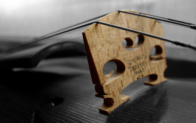 Обои картинки фото музыка, -музыкальные инструменты, дека, скрипка