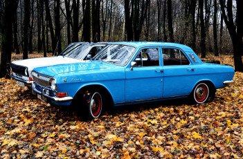 Картинка газ-+24+волга автомобили газ осень газ- 24 волга классика лес