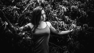 Картинка девушки -+черно-белые красивая девушка