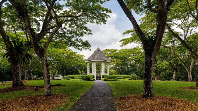 Обои картинки фото природа, парк, деревья, аллея, беседка