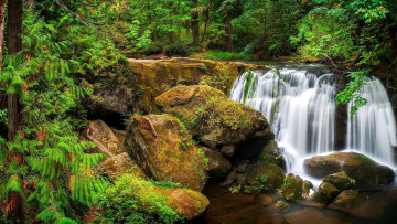 Картинка whatcom+falls usa природа водопады whatcom falls