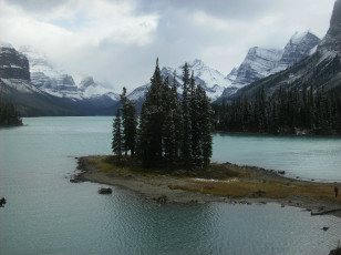 Картинка jasper national park природа реки озера ель