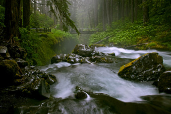 Картинка природа реки озера река мост камни деревья лес