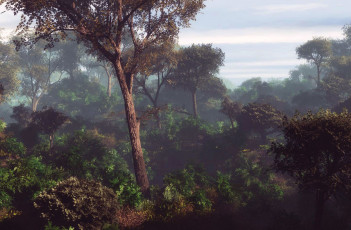 Картинка 3д графика nature landscape природа пейзаж деревья