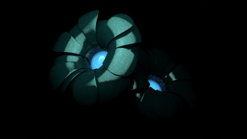 Картинка 3д графика flowers цветы цветок