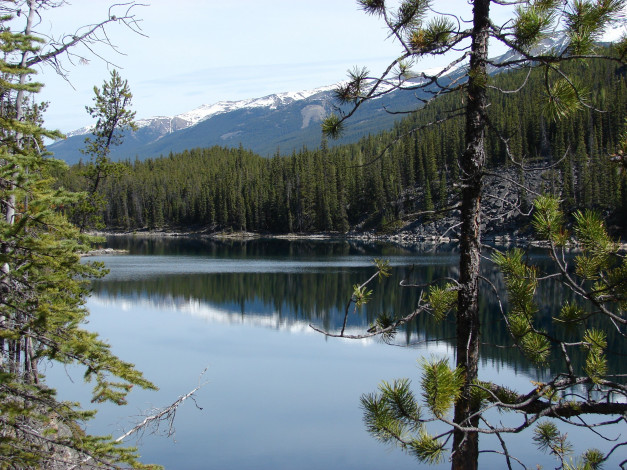 Обои картинки фото horseshoe, lake, jasper, national, park, природа, реки, озера, горы, озеро