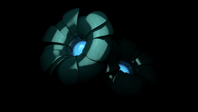 Обои картинки фото 3д, графика, flowers, цветы, цветок