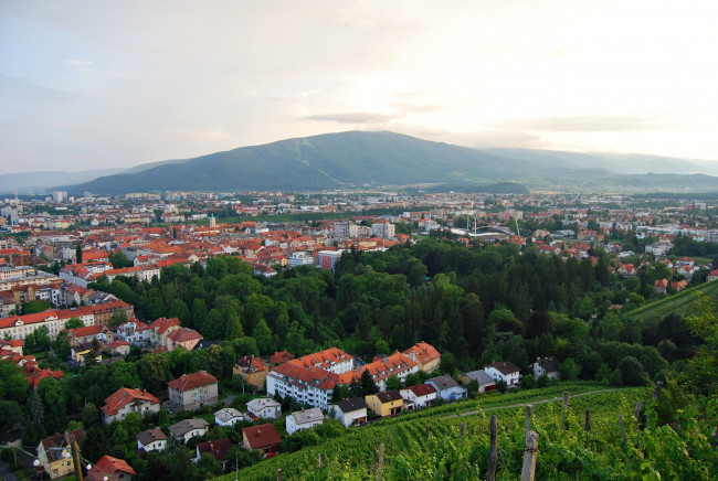 Обои картинки фото марибор, словения, города, пейзажи, деревья, крыши, дома, горы