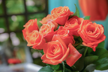 Картинка цветы розы бутоны букет