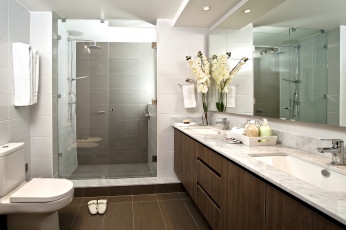 Картинка интерьер ванная туалетная комнаты душ ванна цветы тапки