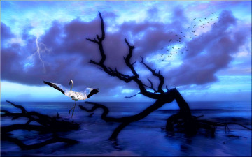 Картинка 3д графика nature landscape природа океан дерево птицы фламинго тучи молния