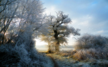Картинка разное компьютерный дизайн иней деревья трава дорога
