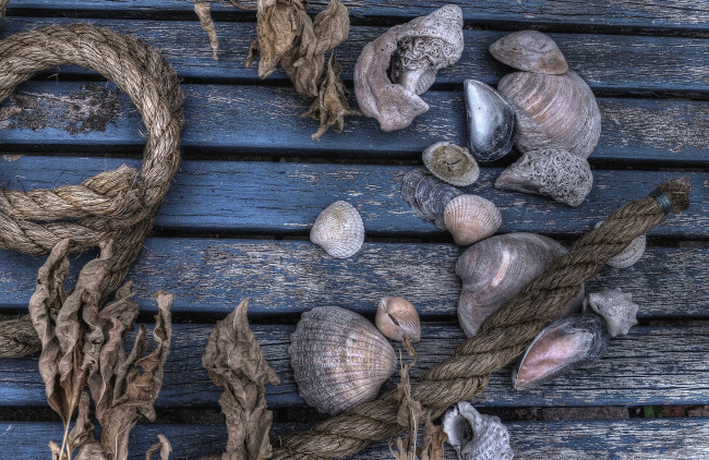 Обои картинки фото разное, ракушки, кораллы, декоративные, spa, камни, веревка