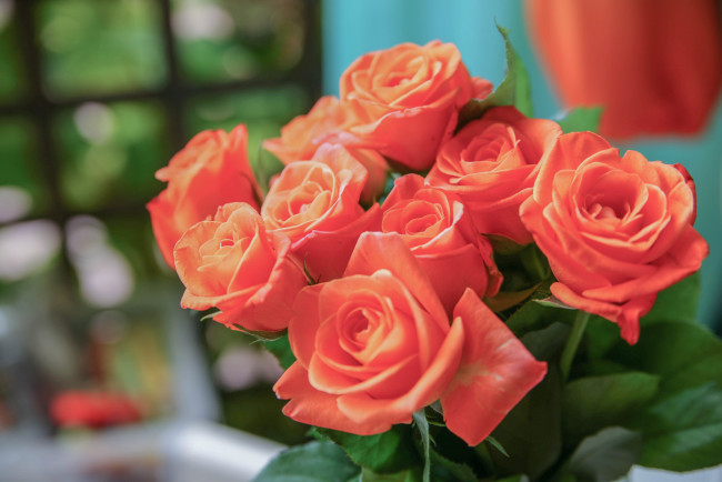 Обои картинки фото цветы, розы, бутоны, букет