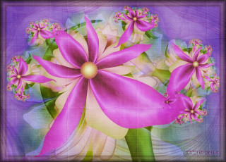 Картинка 3д+графика цветы+ flowers узор фон цвета