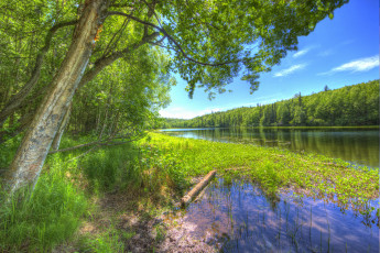 Картинка природа реки озера простор