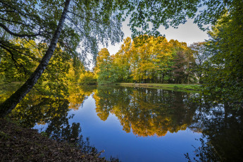 Картинка природа реки озера простор