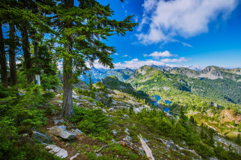 Картинка природа пейзажи простор