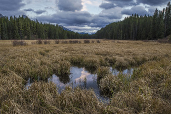 Картинка природа пейзажи простор